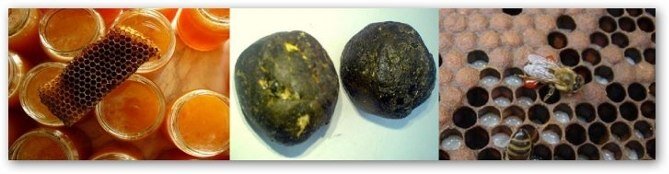    Ангина – одно из наиболее  распространенных заболеваний на сегодня. Прополис является самым эффективным средством при любой форме болезни. Его дают больному на ночь за щеку. Только прополис высокого качества быстро помогает, когда вызывает  жжение во рту и  онемение языка.  Когда лечат ангину прополис медленно жуют небольшими кусочкам. В день больному нужно съесть 5 грамм прополиса. Если все правильно делать ангина проходит за два дня. 
Хронический простатит

          Прополис очень хороший препарат и оказывает сильный эффект при лечении хронического простатита, и устраняет его симптомы. Для лечения простатита необходимо сделать суппозиторий из экстракта прополиса полученого путем выпаривания (40 грамм прополиса в 200мл 96% спирта). Курс лечения длится 30 дней, при необходимости курс повторяют 2-4 раза.
Гайморит

          Рецепт следующий: нужно вскипятить воду, долить 0,5 чайной ложки 30% настойки прополиса и делать ингаляцию.Лечение тугоухости прополисомДля лечения тугоухости применяется спиртовая настойка 30-40% в смеси с жидким растительным маслом (рекомендуется оливковое и кукурузное масло) в концентрации 1:4. Перед употреблением жидкость нужно взбалтывать. Лечат путем введения в  ухо  марлевых трубочек, пропитанных эмульсией. Дозы:  детям после 5 лет – каждый день на ночь на 8-10 часов (9-12 процедур), взрослым – через день на 32-36 часов (12-15 процедур).