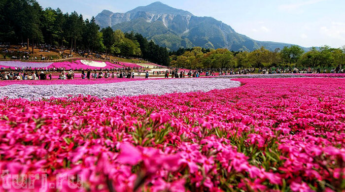 Остров Хонсю