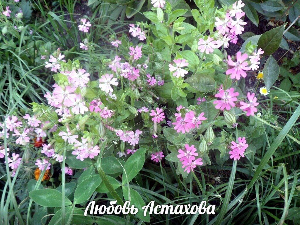 Быть собой, это здорово. Жить, ничего никому не доказывая, зная, что ты счастье и всё вокруг создано его приумножать. 