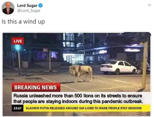 Фейковые новости о том, что в России по улицам ходят львы для того, чтобы люди сидели дома.