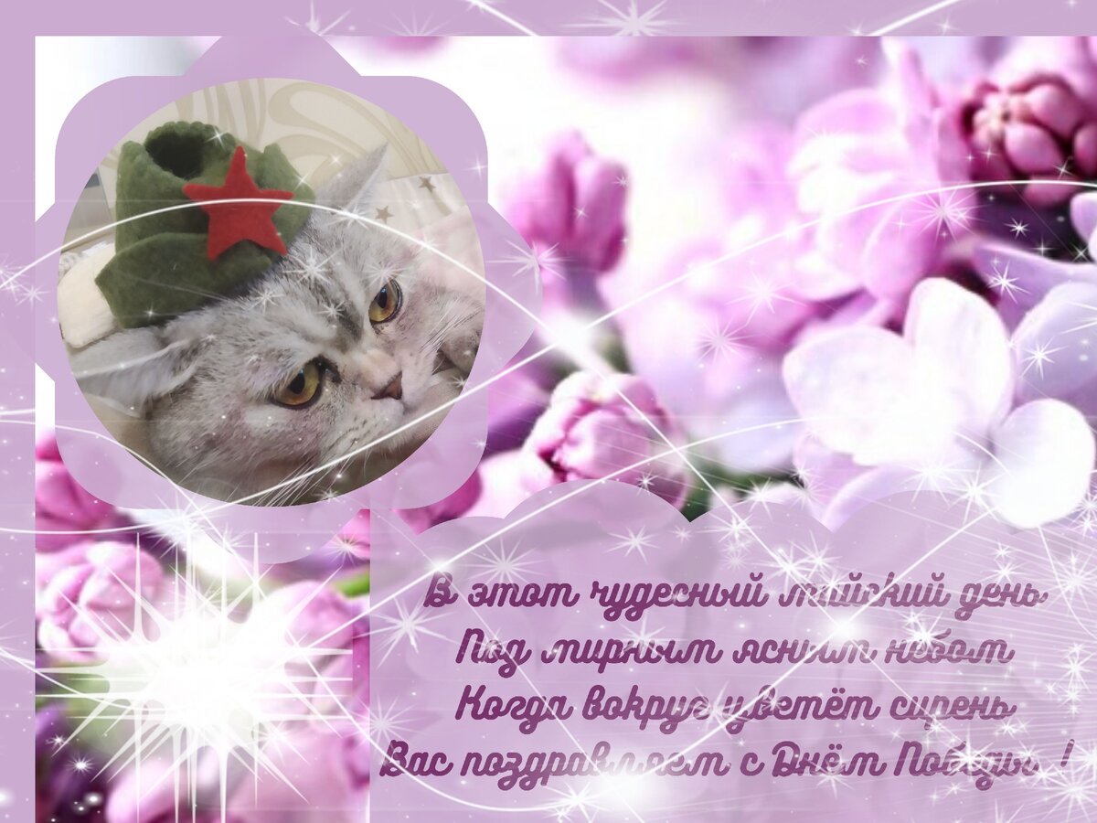 поздравление  с днем победы