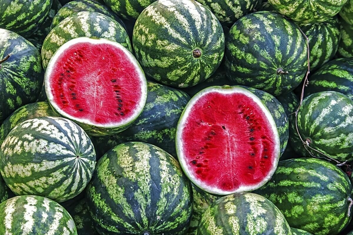 Источник: Яндекс картинки.