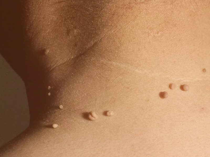 Источник: Яндекс