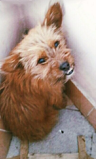 Но со своей  изюминкой