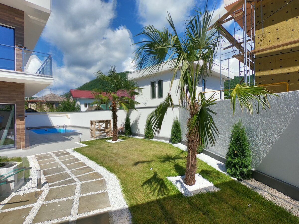 во дворе пальмы