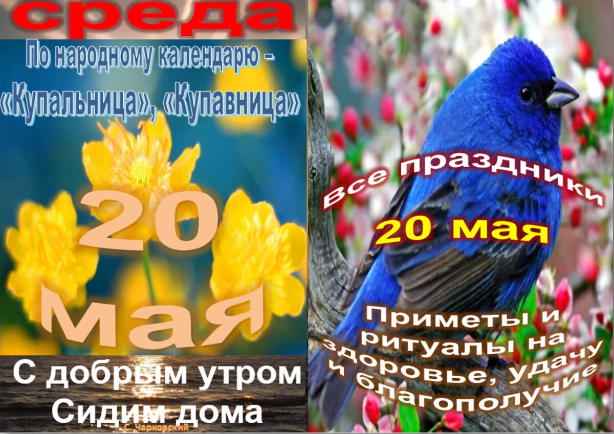 Встречаем новый день