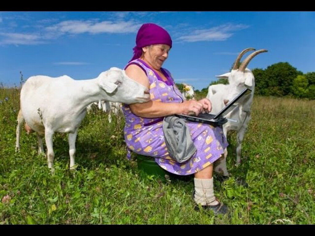 На хрена козе баян... то есть на хрена в колхозе программист?