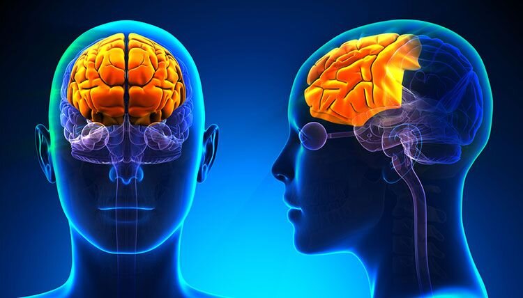 фото из открытых источников, с сайта fb.ru