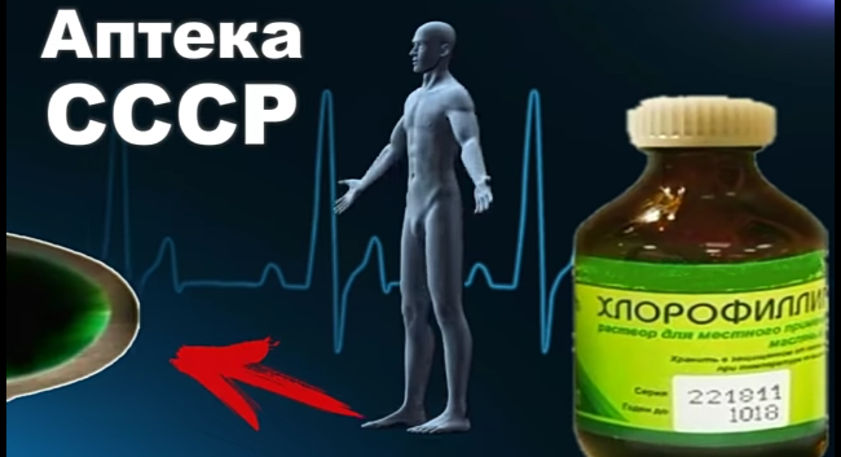 Здравствуйте друзья !
  Сегодня напишу вам о, действительно, хорошем, известном ещё в Советском союзе, препарате - это ХЛОРОФИЛЛИПТ.
  Хлорофиллипт, этот препарат, который раньше обязательно был в аптечке каждого советского человека и в те времена его называли изумрудным чудом, ведь это натуральный природный антибиотик. Само название говорит о натуральности препарата. В его состав входят пигменты растений хлорофилл и эвкалипт.
  Благодаря уникальным противовоспалительным свойствам, эвкалипт в медицине известен как естественный антибиотик. На родине эвкалипта, в Австралии, его называют деревом - насосом, так как за сутки, это дерево может вытянуть из земли и испарить около 300 л воды. Листья эвкалипта всегда поворачивается ребром к солнцу, чтобы не обжечься. Древесина, этого чудо-дерева, почти не поддается гниению, поэтому эвкалипт часто используют при обшивке кораблей.
   В детстве, практически каждая моя простуда, затягивалась на 2 недели, или заканчивалась больницей, а сколько было съедено антибиотиков, осмотры, мрачные физкабинеты, промывка миндалин, уколы, ежедневное полоскание - были привычной мне процедурой. В те далекие, советские времена, медсестра нашего школьного лагеря, принесла баночку с изумрудным раствором и сказала : " попробуй, выздоровеешь за три дня " . Я попробовал. С тех пор, копеечный Хлорофиллипт, появился и в нашей аптечке навсегда. Лекарство проверено не единожды и не только при многочисленных заболеваниях горла и ротовой полости, натуральный антибиотик отлично справляется с гнойными ранами, фурункулами и высыпаниями. Даже летом пригодится в борьбе с повышенной потливостью и специфическим запахом. Многоцелевой препарат Хлорофиллипт, пригодится не только при лечении различных болезней, а и в косметических целях, маски для лица с хлорофиллиптом сделают из вас просто красавица, но об этом можно поговорить позже.
   А теперь читайте основные рецепты с этим чудесным препаратом.

   ПЕРВЫЙ :  боль в горле, ОРЗ фарингит.
   Одну столовую ложку спиртового раствора размешать в стакане тёплой воды. Полоскать этой смесью горло 4-5 раз в день, промежутках между приемами пищи.

    ВТОРОЕ :  если у тебя уже ангина, тонзиллит, то три раза в день, на протяжении недели, протирать миндалины ватным тампоном, смоченным в масляном растворе. А промывать лакуны в гландах, лучше спиртовым раствором, разведенным в тёплой воде : одна чайная ложка, на 150 мл воды. Полученную смесь набирайте в большой шприц и распыляйте струю прямо в миндалины. Такое промывание можно делать и в случае хронического тонзиллита.

   ТРЕТЬЕ :  стоматит, воспаление десен и герпес. Полощи горло следующем раствором : 1 чайная ложка соды и одна чайная ложка спиртового раствора хлорофиллипта, размешай в стакане теплой воды. полощи ротовую полость как можно чаще, обязательно после еды.
 А герпес на губе прижигаем спиртовым раствором.

     ЧЕТВЁРТОЕ :  свежие раны и порезы хорошо заживляет именно спиртовой раствор хлорофиллипта. А если не удалось избежать заражения и на ране уже образовалось нагноение, а также при фурункулах, мокнущих гнойных ранах и ожогах, помогут аппликации, уже с масляным раствором хлорофиллипта, которые нужно менять два раза в день и носить не снимая, пока рана не заживёт.

    ПЯТОЕ : при грибке на ногах, делать теплые ванночки для ног с содой и спиртовым раствором хлорофиллипта. А после водных процедур, смазывать пораженные места маслом чайного дерева.

    ШЕСТОЕ :  косметологи советуют использовать раствор хлорофиллипта женщинам, с сухой или жирной кожей и после пилинга. 
   Если вы уже пользовались этим чудесным лекарством, поделитесь вашими рецептами в комментариях. Будьте здоровы друзья !  Огромное спасибо за ваши лайки и подписку на самый полезный канал !