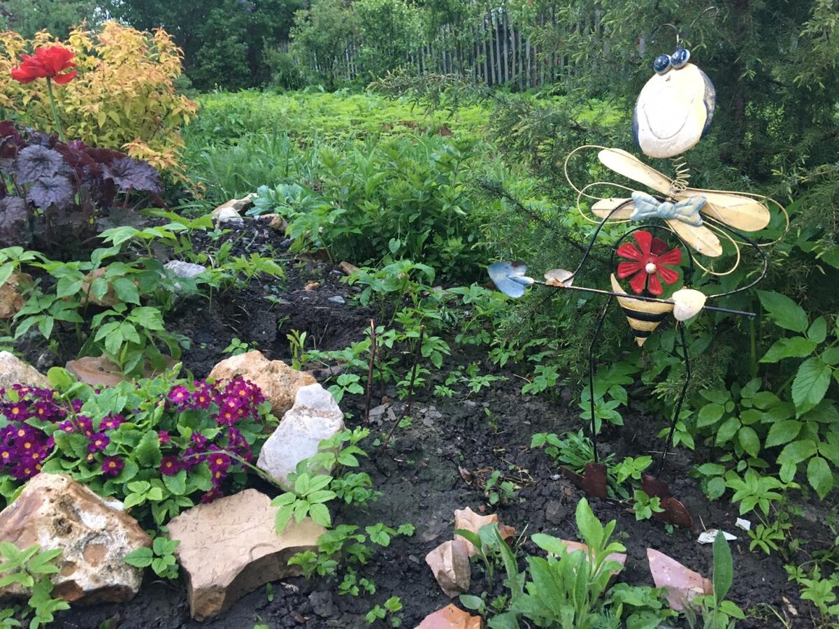 Моя красивая пчела