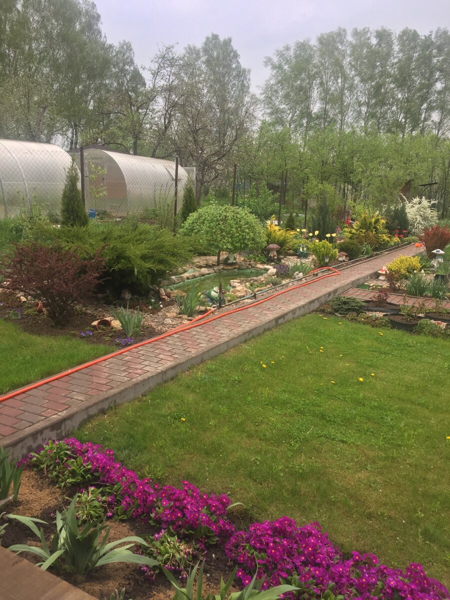 Участок моей соседки