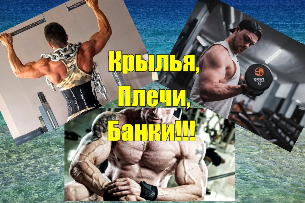 Источник: httpspixabay.com