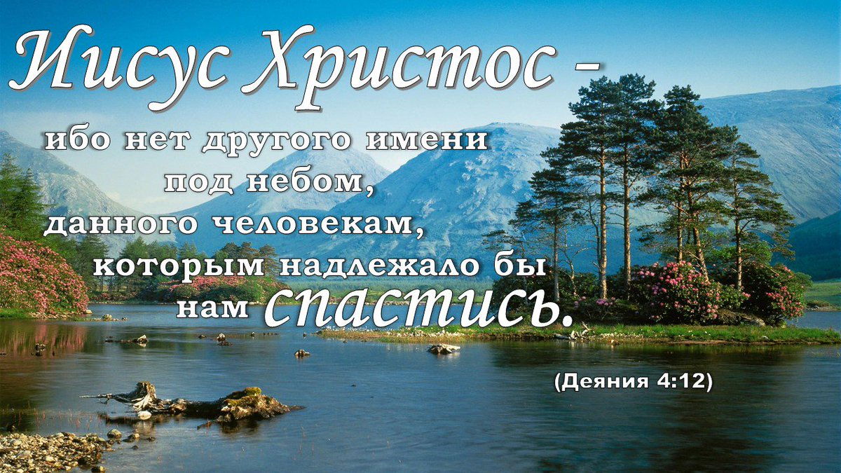 Картинка к статье взята из сети интернет, в свободном доступе