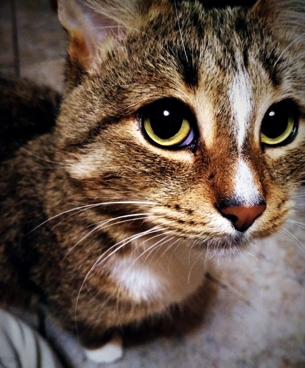 Собственная фотография