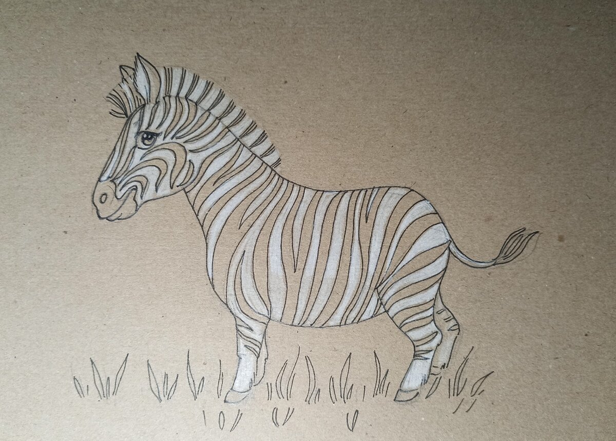 Рисунок карандашом зебра