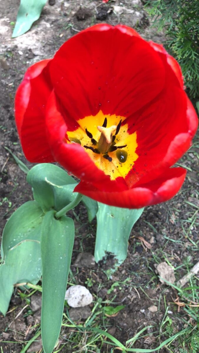 Самая сезонность РСВ и РВ