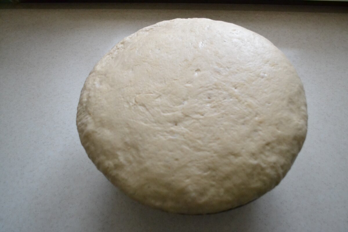 Вот такое получилось наше тесто! Прям выпрыгивает из миски! 