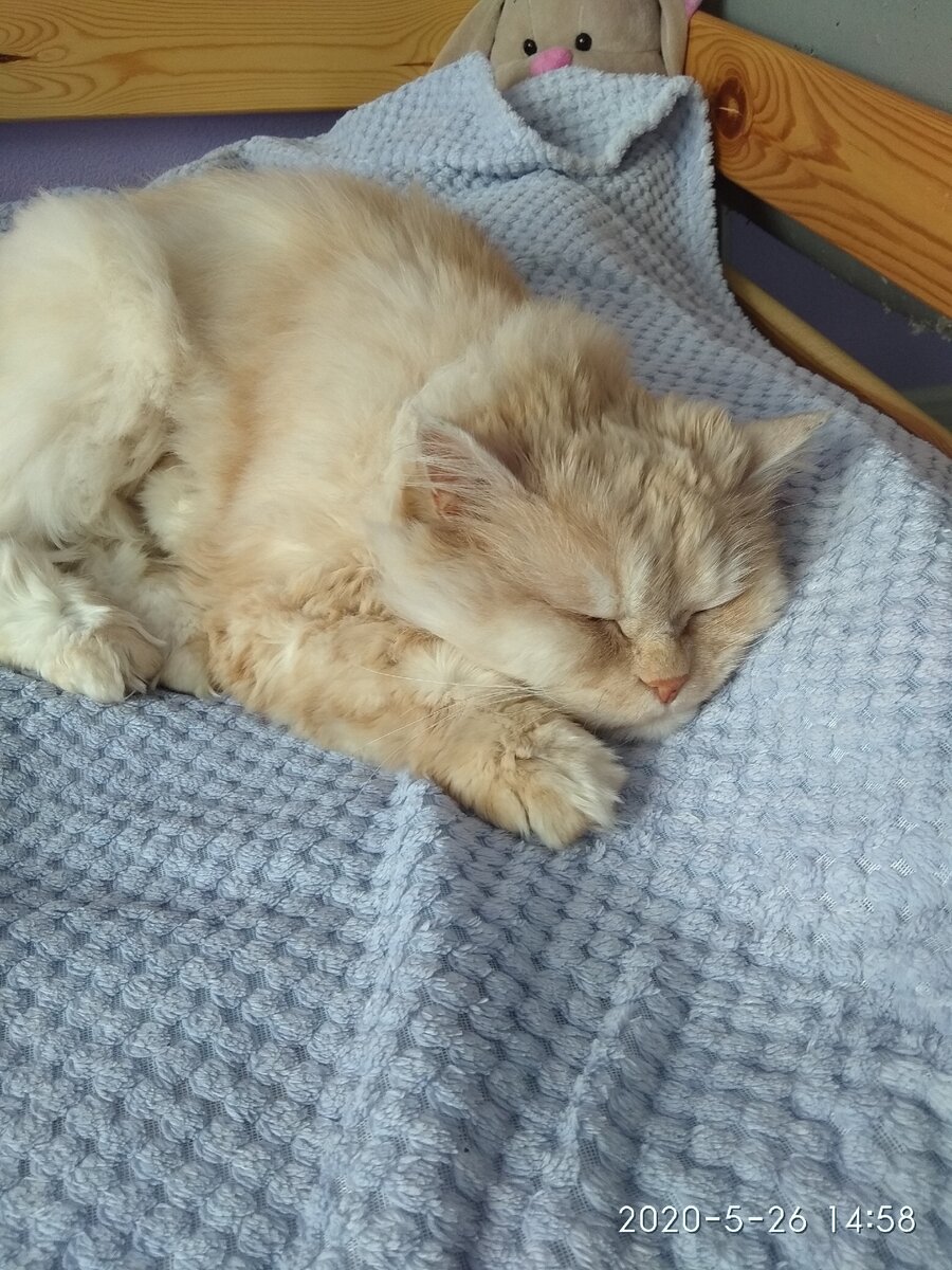 Храпунцель)) 