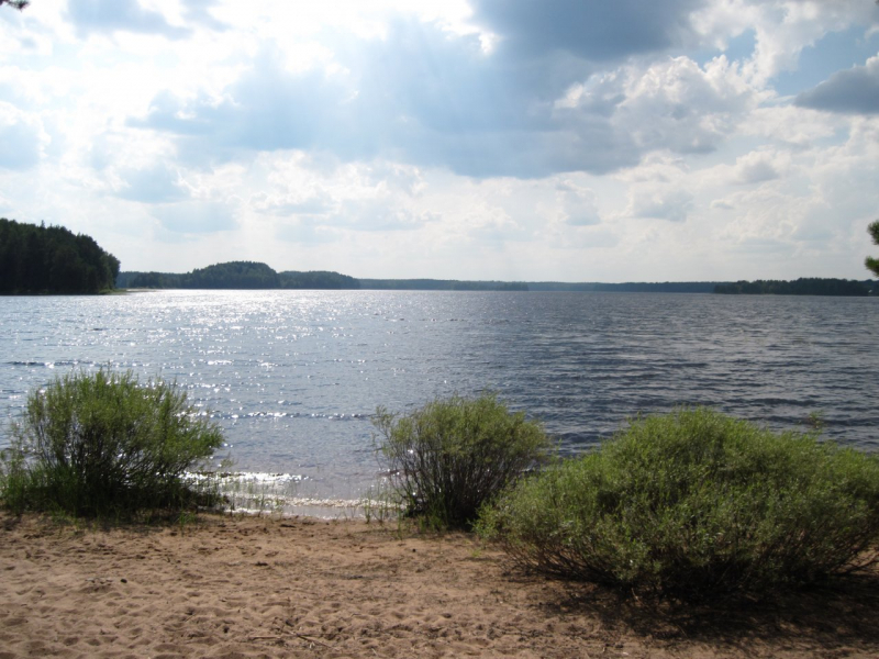 Озеро Городно Новгородская.