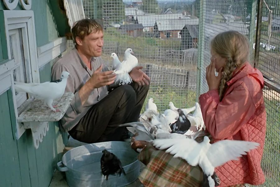 Ешкин кот любовь и голуби. Матерюсь,а мне нравится это пикантно из любовь и голуби. Ёшкин кот любовь и голуби. Ешкин кот любовь и голуби. Ешкин кот любовь и голуби.