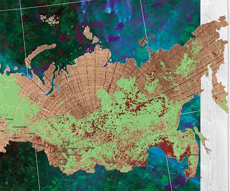На карте красным цветом отмечены площади лесов, пройденные огнем в азиатской части России в 2012–2019 гг. При этом надо учитывать, что при слабоинтенсивных низовых пожарах, особенно в сосняках и лиственничниках, значительной гибели древостоев обычно не происходит. Карта составлена на основе данных спутникового мониторинга (Институт леса им. В. Н. Сукачева СО РАН, Красноярск)