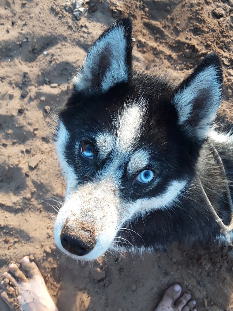 Я решил сводить своего друга на его день рождения на свой любимый пляж и вроде ему понравилось)