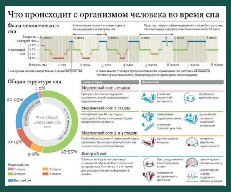 Фазы сна.