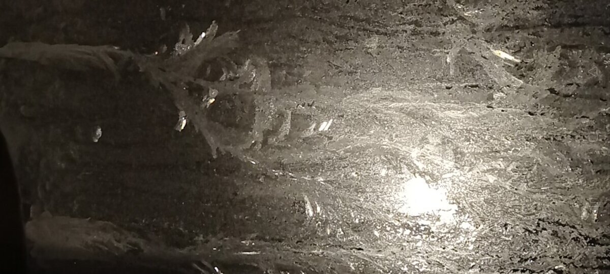 (Личное фото автора)