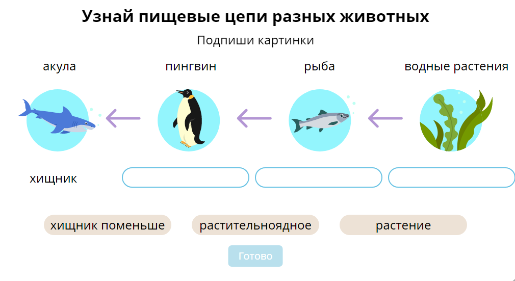 Протянуть стрелочку к надписи/написать надпись.