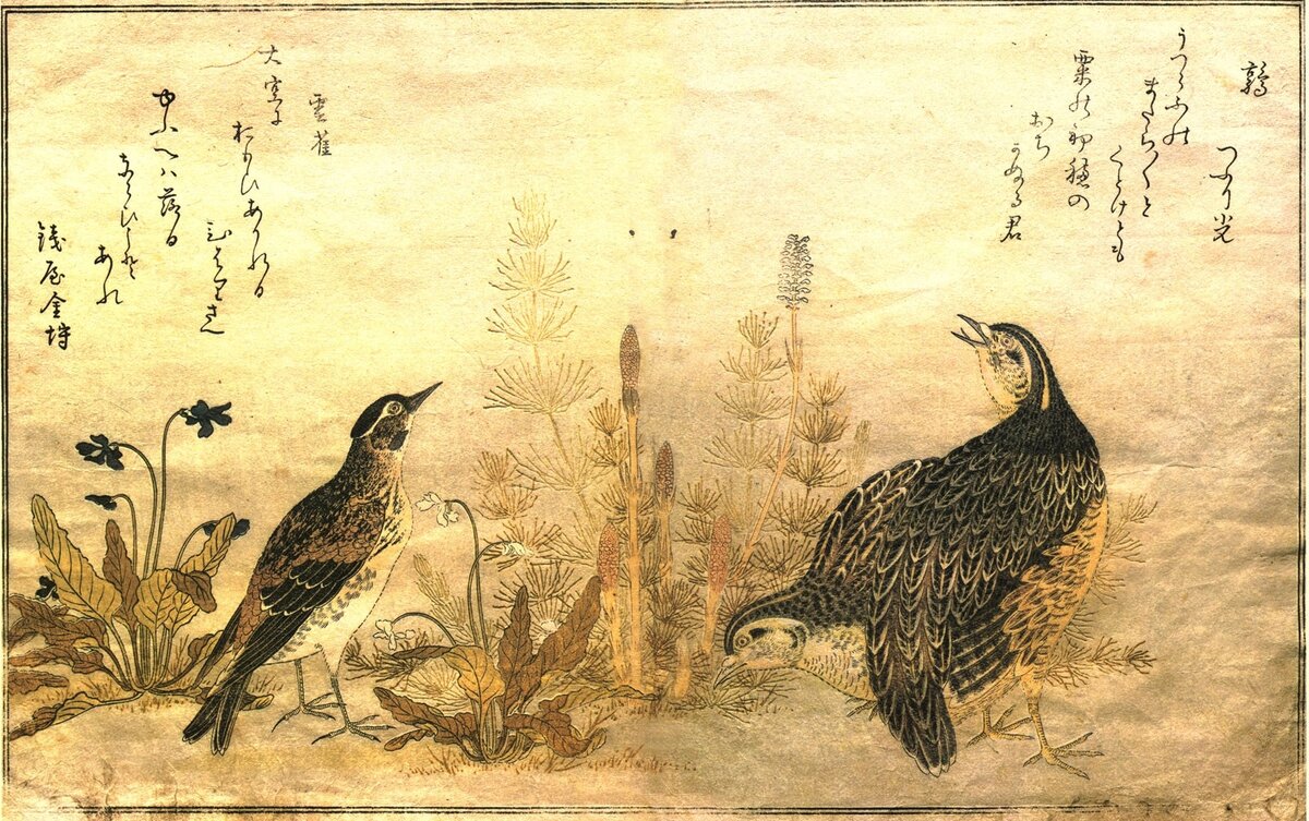 Японская гравюра птицы