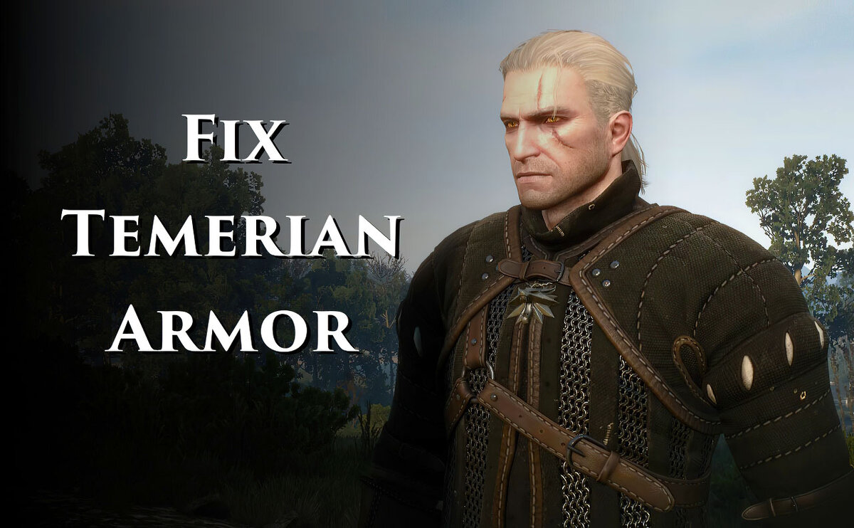 Fix Temerian Armor