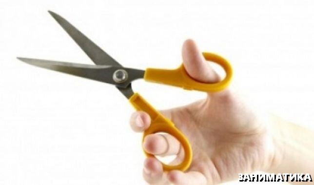 Возьми ножницы. Веселые ножницы. Смешные загадки в картинках. Возьми ножницы. Ножницы.