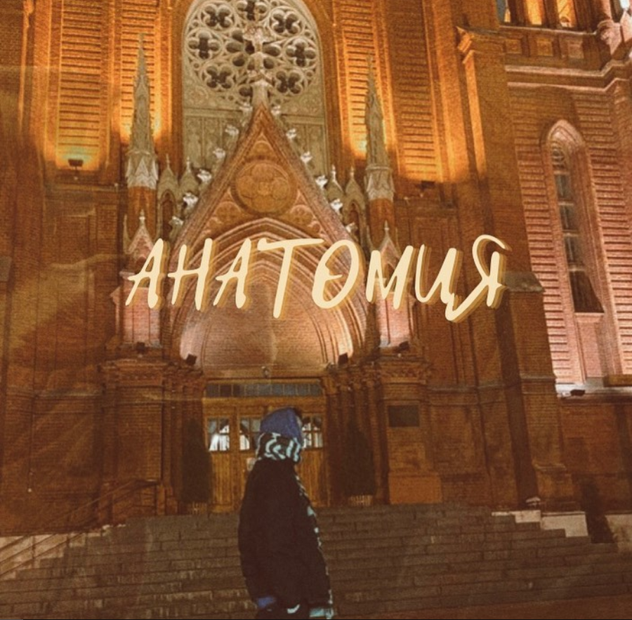 Как учить анатомию ? Чем пользоваться, чтобы лучше запоминать тонны казалось бы неструктурированного материала ? 
Только спустя 2-3 месяца после поступления в медицинский я понял как нужно изучать анатомию, тогда я и осознал, что пар в университете и обычных учебников мне будет недостаточно, для того, чтобы понимать и разбираться в этом предмете.

Поэтому мне хотелось бы поделиться своим небольшим опытом с вами и посоветовать некоторые платформы для изучения анатомии.

Во-первых, готовясь к этому посту, я понял, что наиболее эффективно учить анатомию, читая параллельно смежные предметы (физиологию, гистологию). Если человек понимает функцию, то ему намнооого легче разобраться со строением 😊

Во-вторых, для лучшего запоминания анатомии нужно рисовать. (Рисунки очень хорошо откладываются в памяти и выглядит классно 😋)

Также хочу порекомендовать ресурсы, где очень удобно готовится к парам.

🖤 Современная платформа для изучения анатомии в 3д проекциях: Biodigital Human (стоит 4$ в месяц, но для такого наглядного изучения этих денег не жалко)

🖤 Ютюб канал Эдгара Кафарова. Я за своим 3 месяца обучения в меде видел не много преподавателей , но принцип подхода к обучению этого человека мне нравится больше всего.

🖤Также могу посоветовать приложение Easy Anatomy, работа в нем основана на запоминании по флеш- карточкам (Мне очень помогало, когда я учил остеологию)

Надеюсь этот пост был полезен, пишите в комментариях какими способами запоминания пользуйтесь вы.

#анатомия #медики #студентымедики #мотивация #студентан