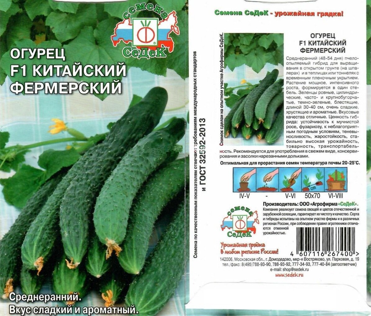Огурец китайский описание сорта фото отзывы