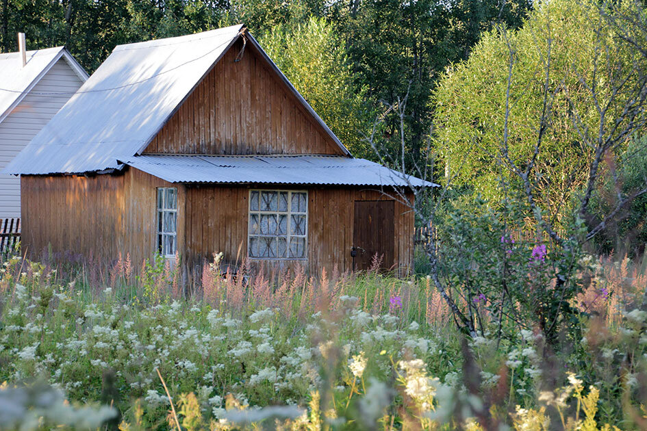 Фото: Komsomolskaya Pravda/Global Look Press Новый закон расширил действие амнистии