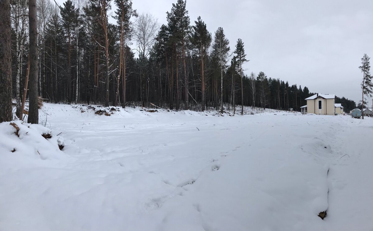 Подготовленный к строительству, наш лесной участок 