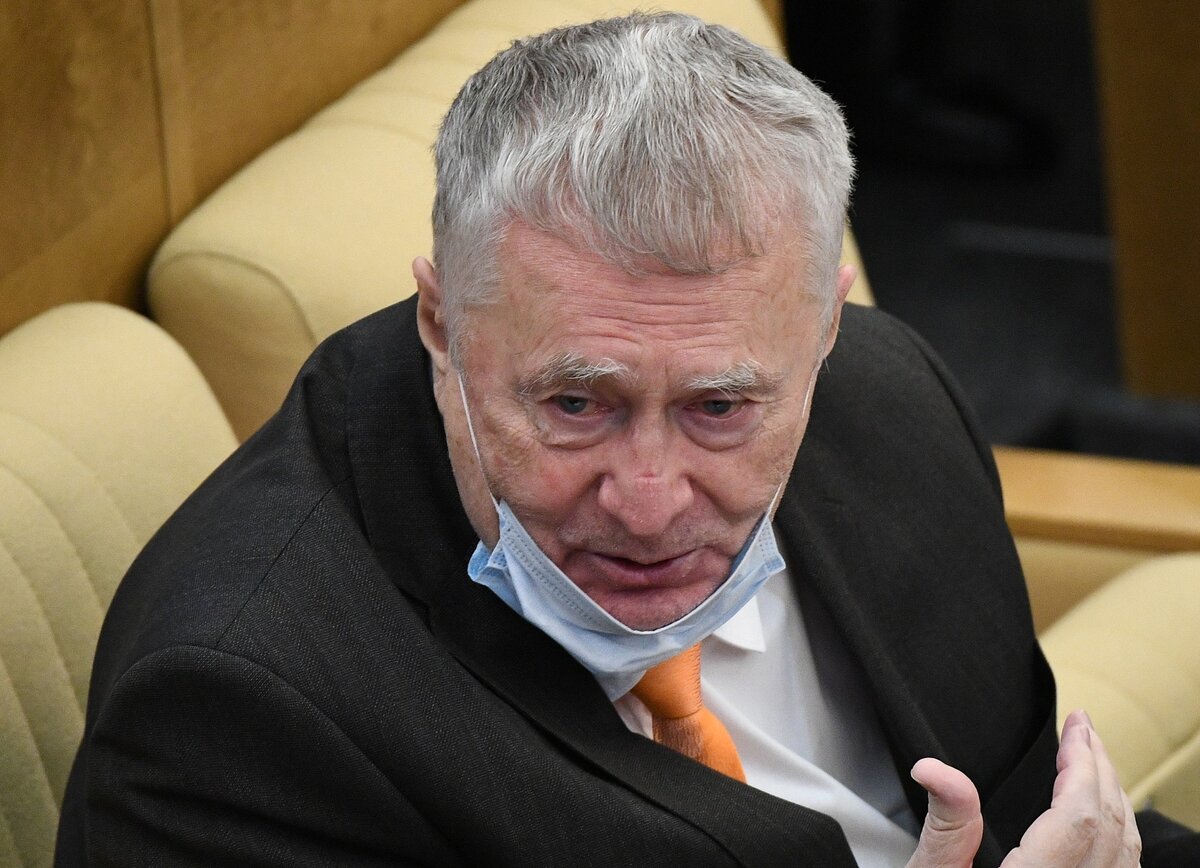 Владимир Вольфович на страже спокойствия / РИА Новости