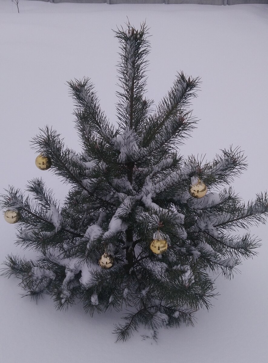 Фото из личного архива