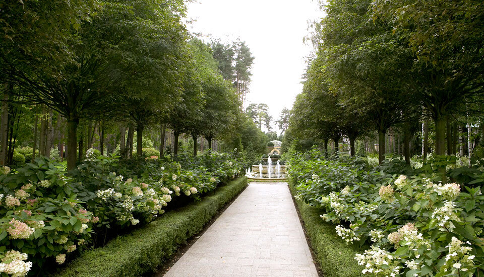 парадная аллея. парк александра гривко (il nature). живые изгороди рублево парк. липа крупнолистная ландшафт. липовые аллеи гривко.