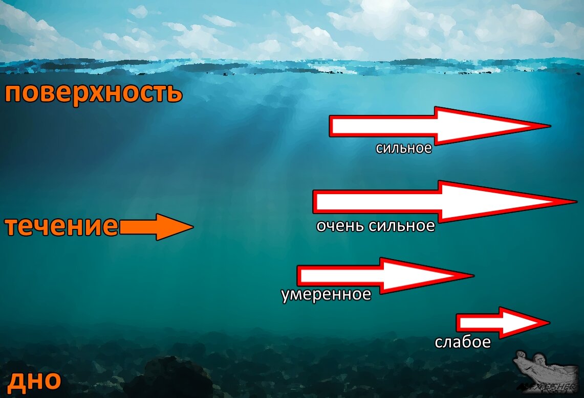 Линия течения воды. Направление и силу течения глубину погружения рыбы ощущают.