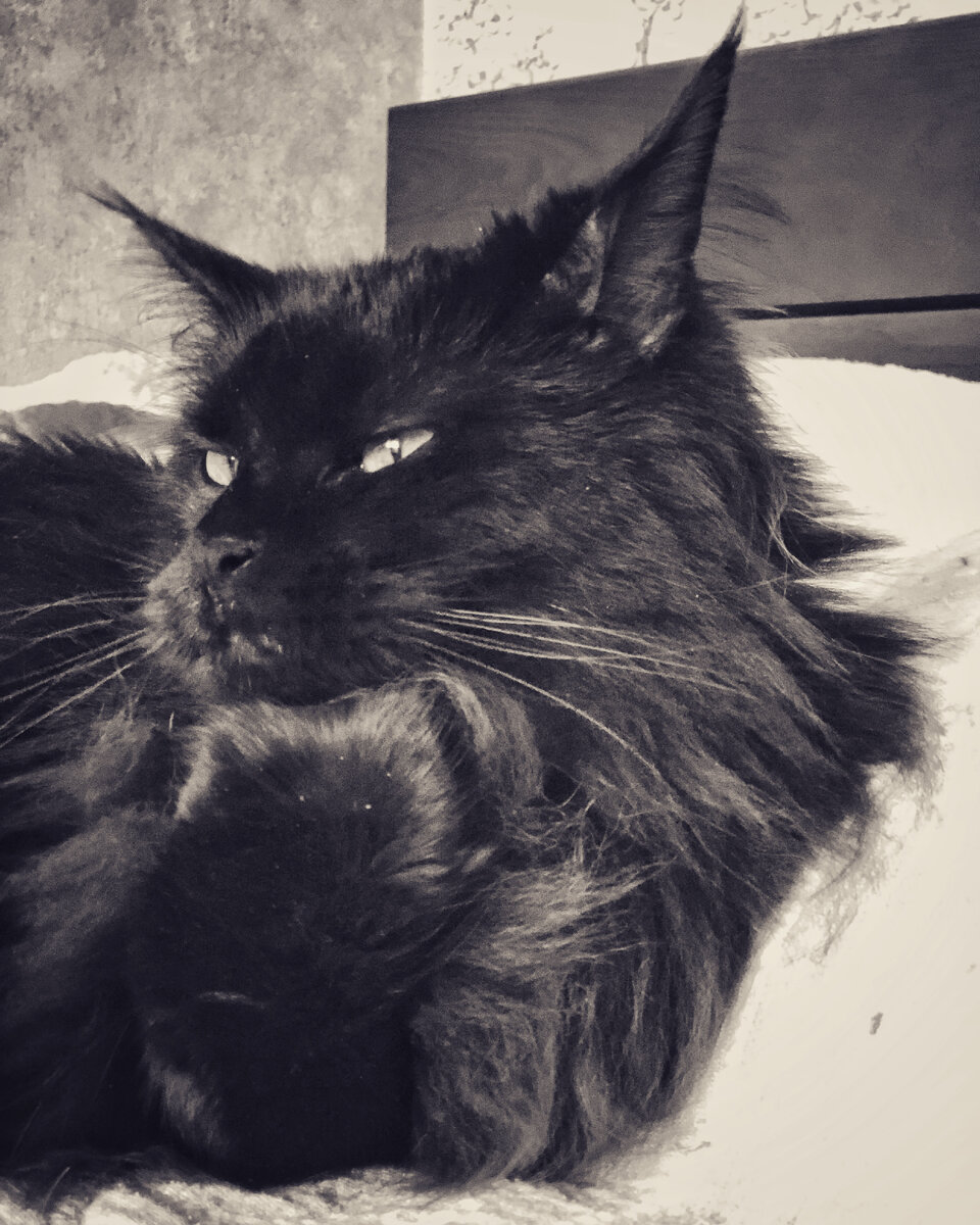 заМЕЧТАтельность