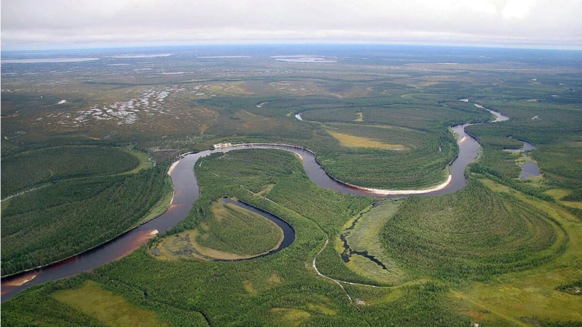 В долине реки по жили. Западно Сибирская равнина. Западно-Сибирская равнина равнина реки. Низменности Западно сибирской равнины. Западно-Сибирская равнина фото.