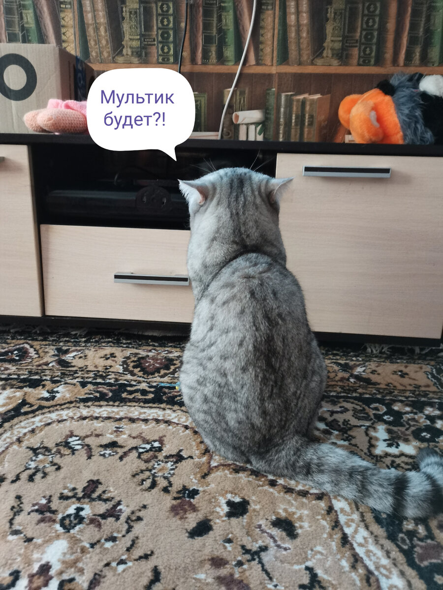 В ожидании.... 