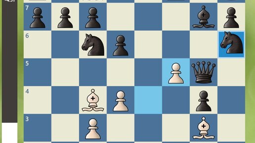 Чистый шах. Чистый шах. Шахматы задачи двойной шах. Чистый шах. Обложка.