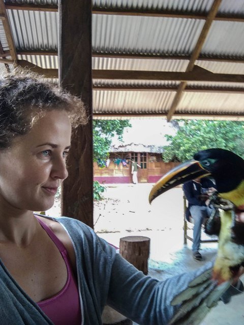 В Верхней Амазонии животные не боятся человека