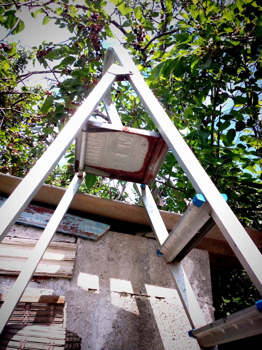 Фото автора, моя лестница