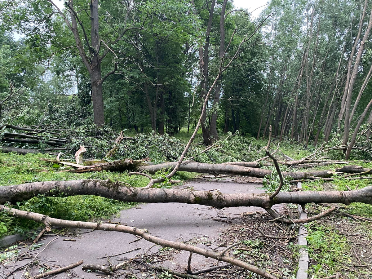 В Великих Луках целый год строили новый парк, но ураганом снесло все конструкции