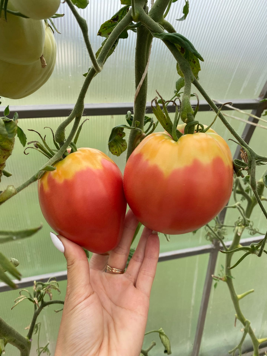 Фото из личного архива 