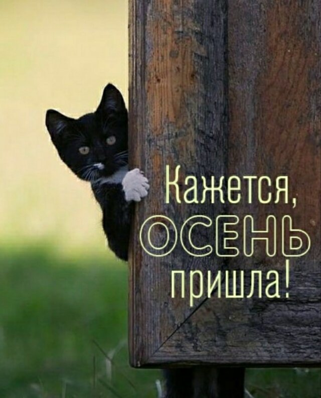 Из интернета