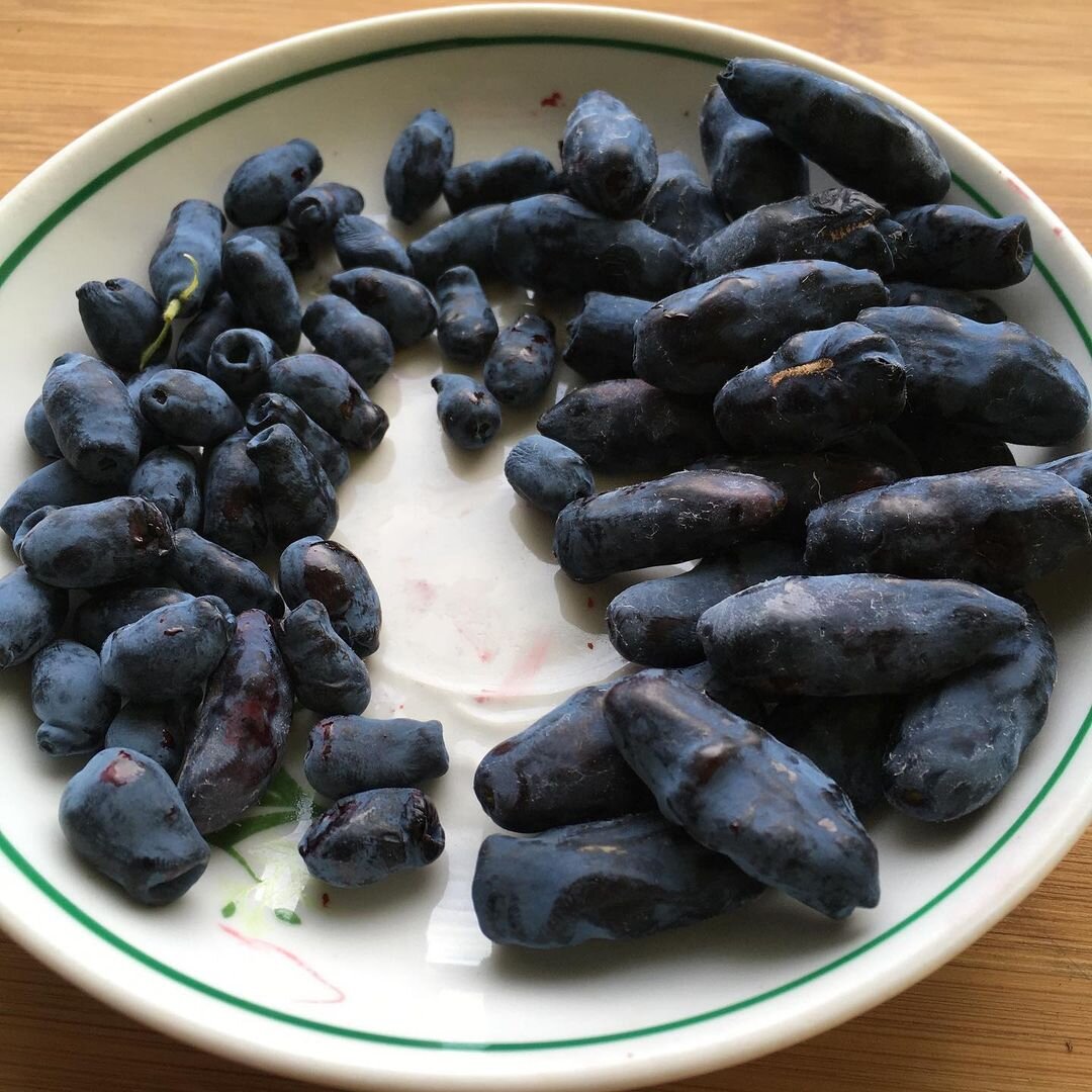 Посмотрите как сильно отличаются ягоды по размеру в зависимости от сорта. Поэтому выбирать надо обязательно. а не хватать первое попавшееся, как иногда делаю я))) Источник фото - https://www.instagram.com/p/CVCllGSoDhs/